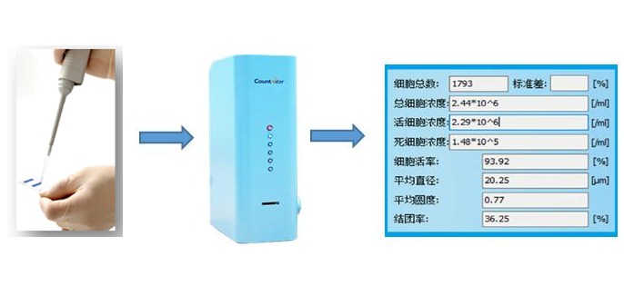 IE1000 BioLab细胞计数仪，IN010201，Countstar