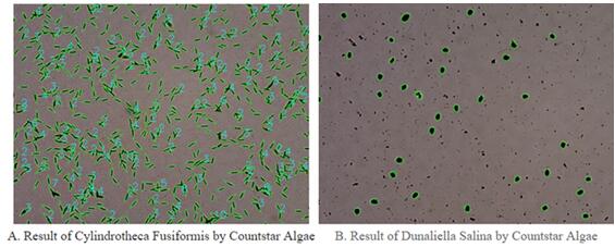 IA1000 BioMarine细胞计数仪，IN010301，Countstar