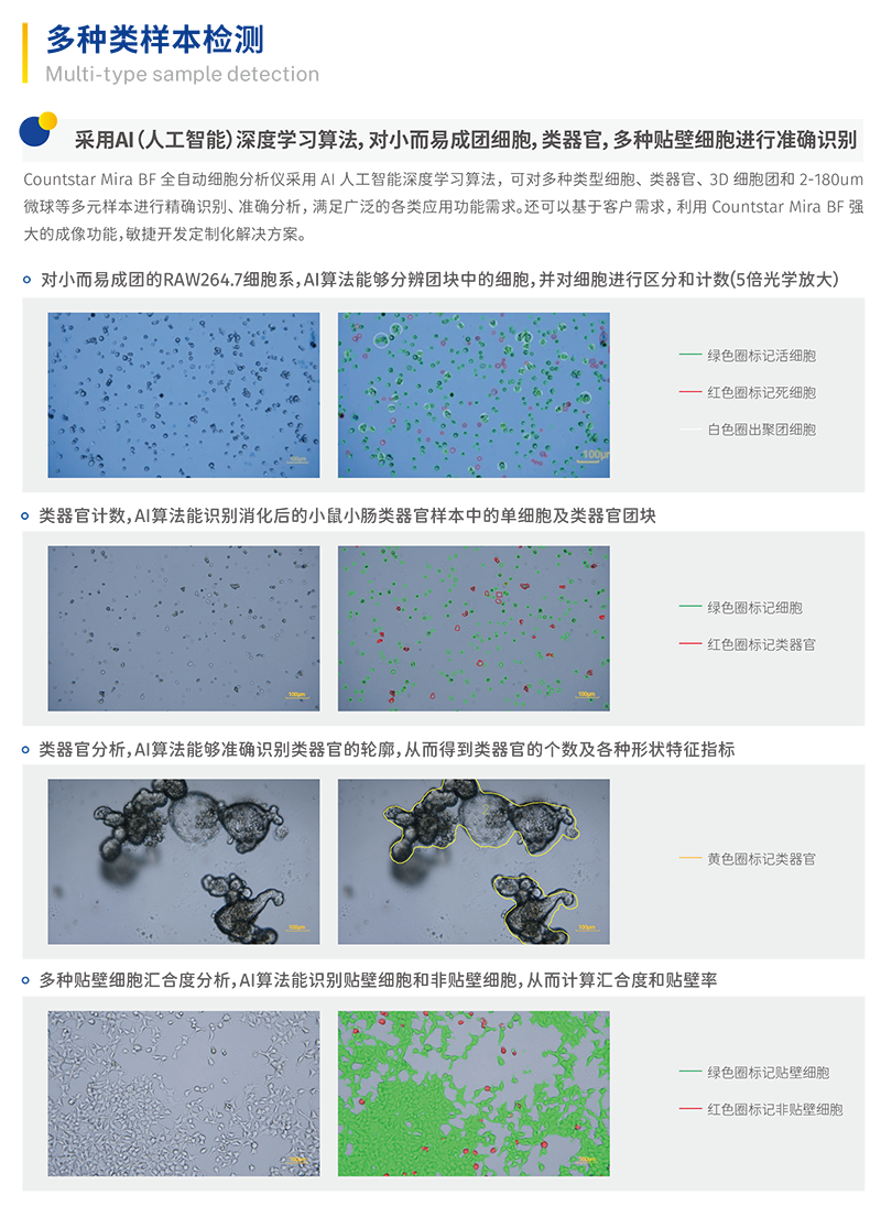 Mira BF细胞计数仪，IN040101，Countstar