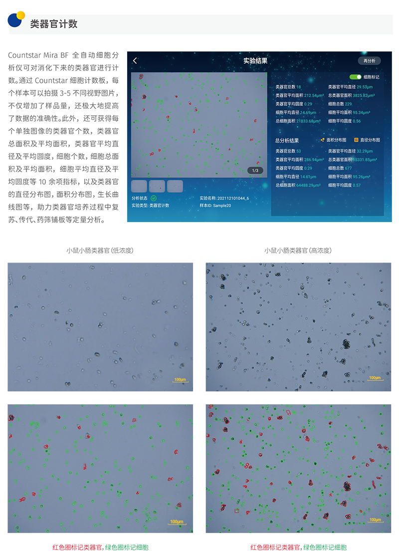 Mira BF细胞计数仪，IN040101，Countstar