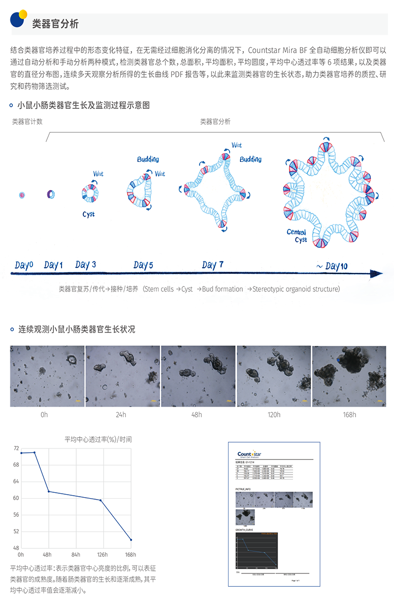 Mira BF细胞计数仪，IN040101，Countstar